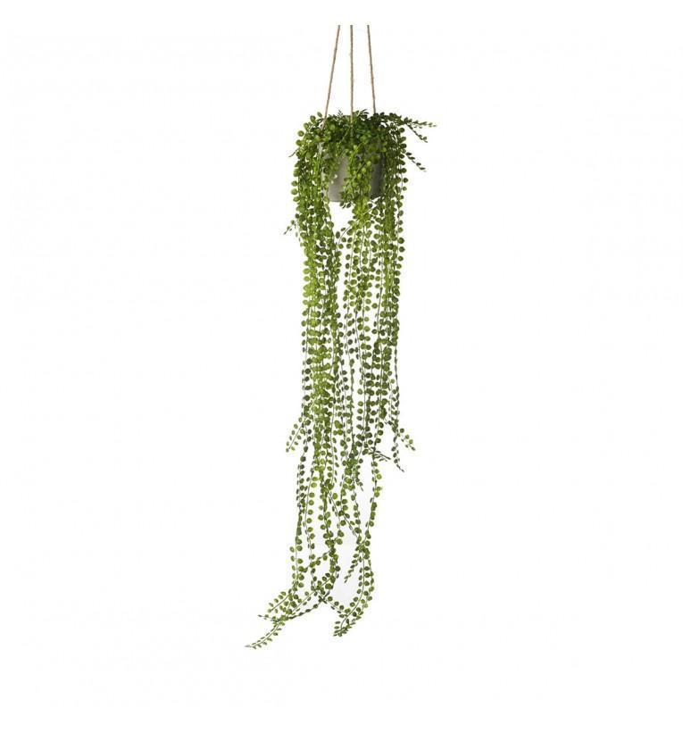 Potted Hanging Pearl Spray Green (3pk)-abc