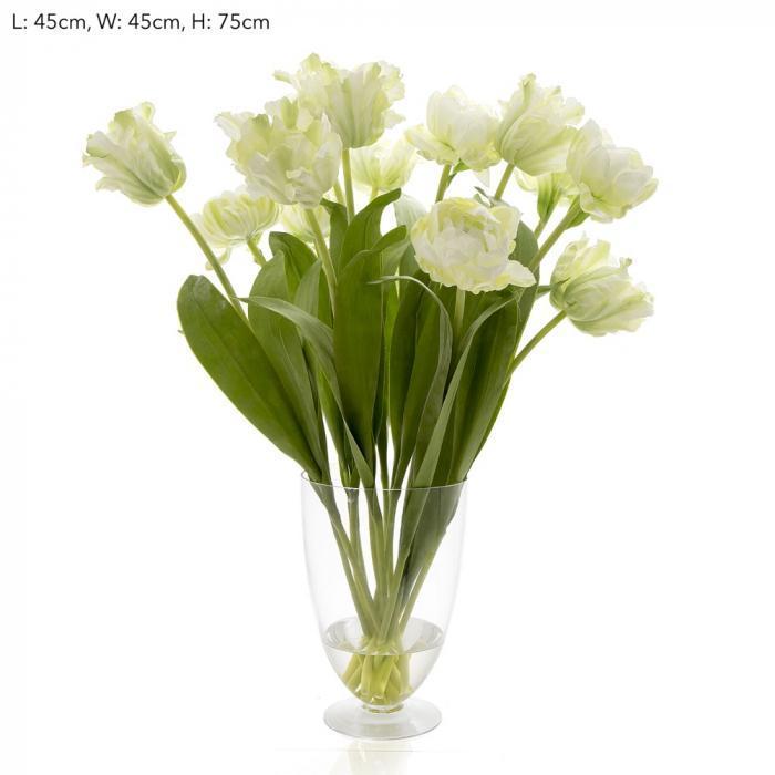 Tulip in Water in Glass Vase Parrot Whit-abc