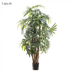 Raphis Palm (Thin Leaf) 1.6m-abc
