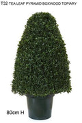 Tea-Leaf Topiary 80cm - Green-abc