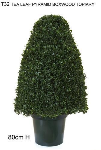 Tea-Leaf Topiary 80cm - Green-abc
