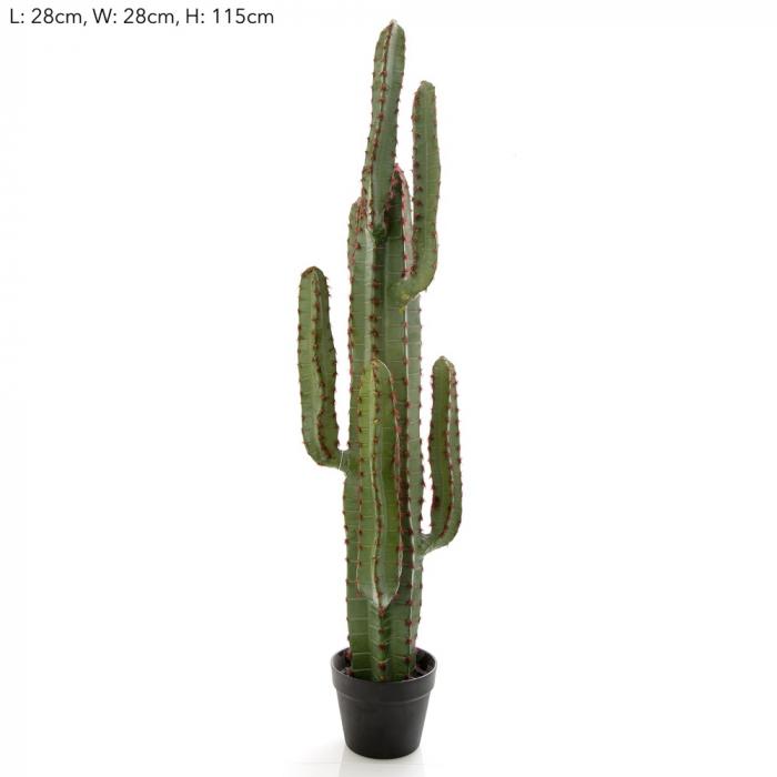 Desert Cactus XL-abc