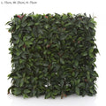 Leaf Hedge 75x25x75-abc