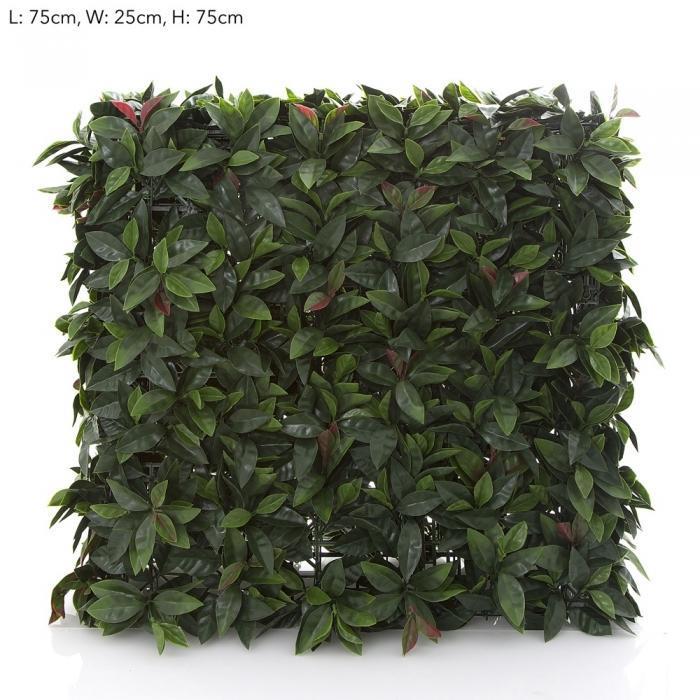 Leaf Hedge 75x25x75-abc