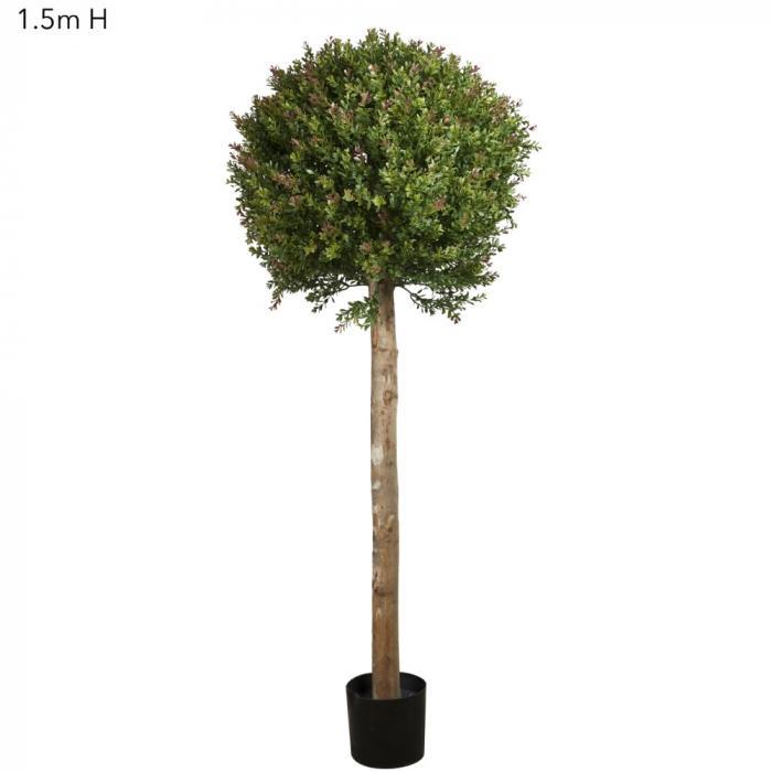 Red Day Leaf Ball Tree 1.5m-abc