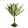 Giant Agave Plant-abc