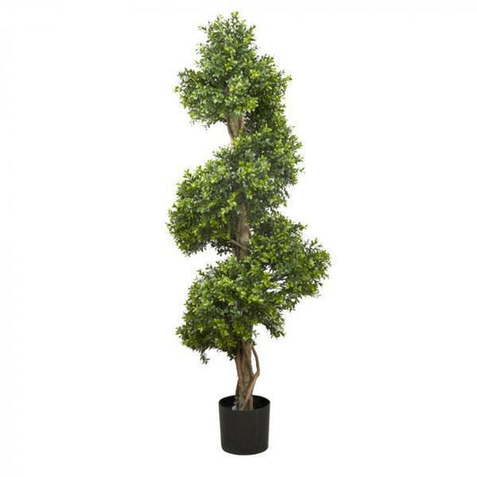 Boxwood Spiral Tree 1.5m-abc
