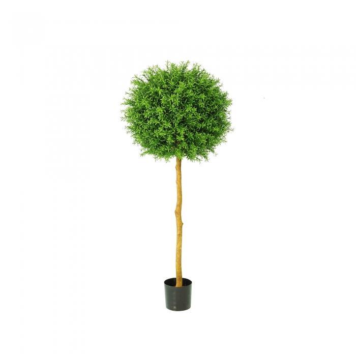 Rosemary Ball Tree 960 Lvs 1.2m-abc