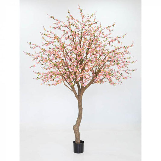 2.4m Giant Cherry Blossom Tree 2925 lvs,-abc