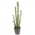 Cactus in Pot 89cm Green-abc