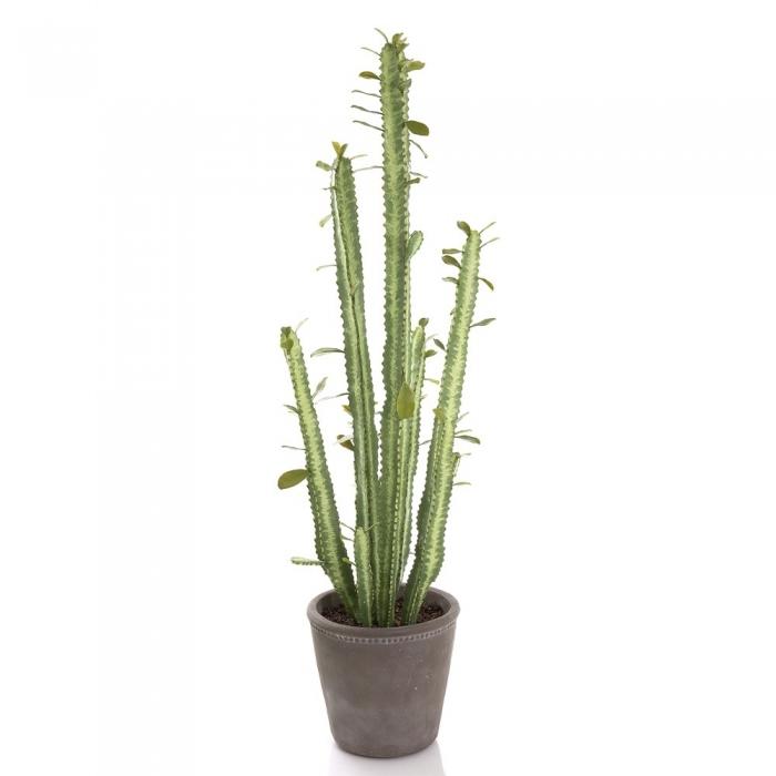 Cactus in Pot 89cm Green-abc