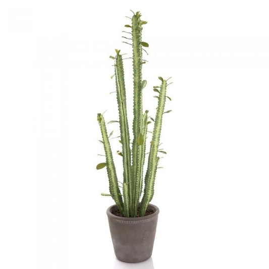 Cactus in Pot 89cm Green-abc