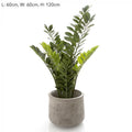 110cm potted smargago arrhn34l - QUA-abc