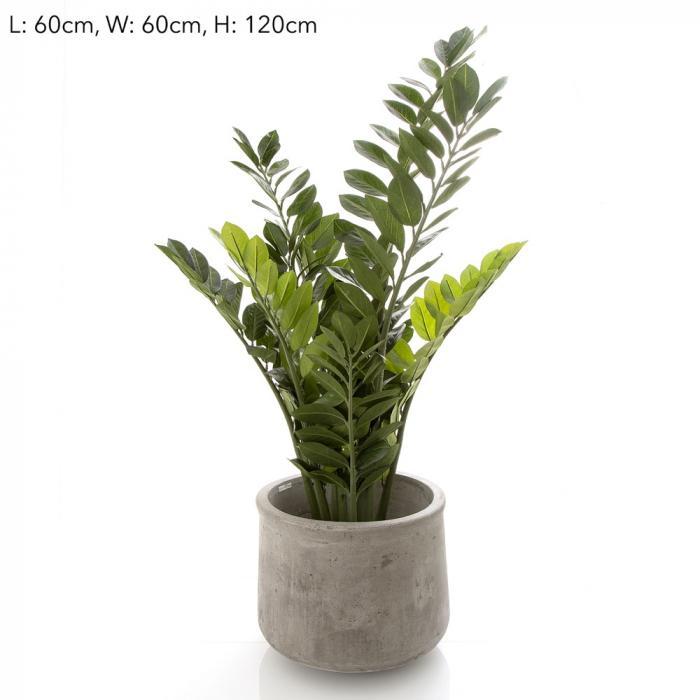 110cm potted smargago arrhn34l - QUA-abc