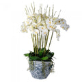 White Orchids in Aviary Planter-abc