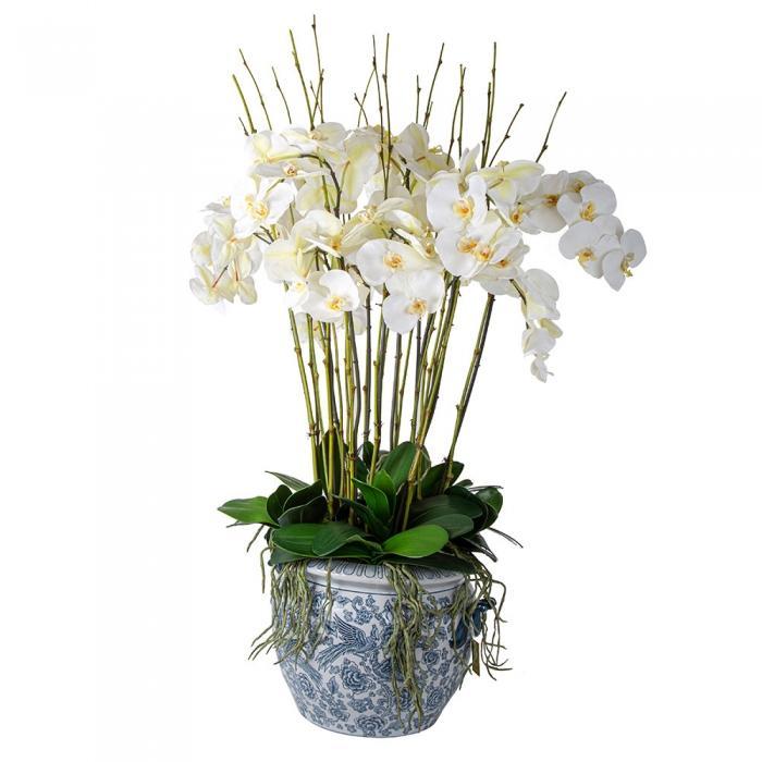 White Orchids in Aviary Planter-abc