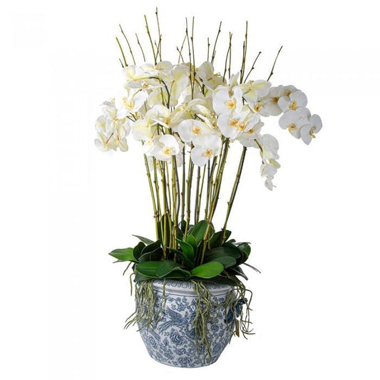 White Orchids in Aviary Planter-abc