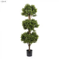 Boxwood Triple Ball Tree 1.2m 2412 Lvs-abc