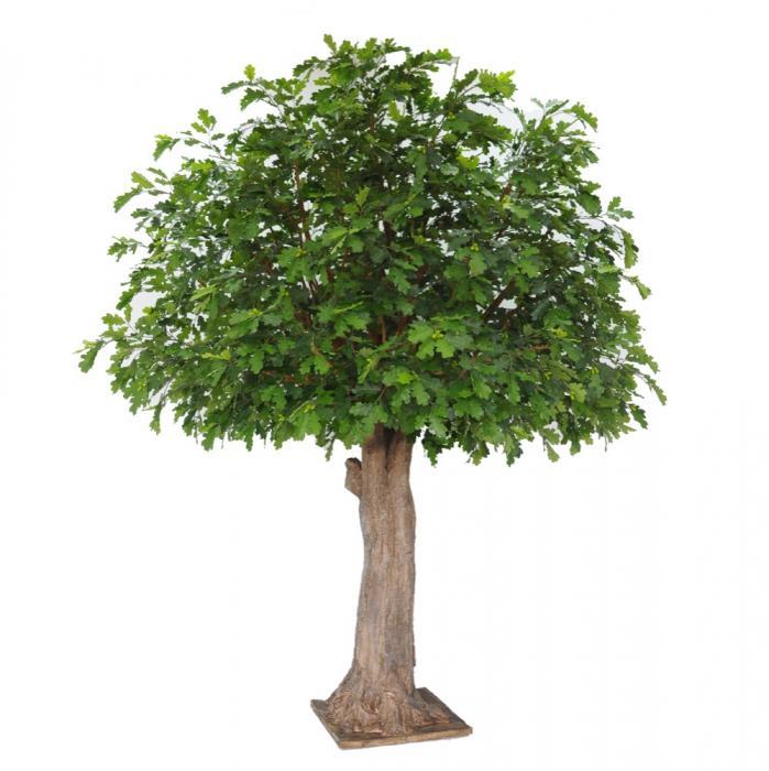 Oak Tree 7656Lvs 486 Fruits 3.1M-abc