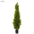 Cypress Pine 1.8m-abc