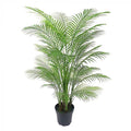 Palm Tree 1.65m-abc