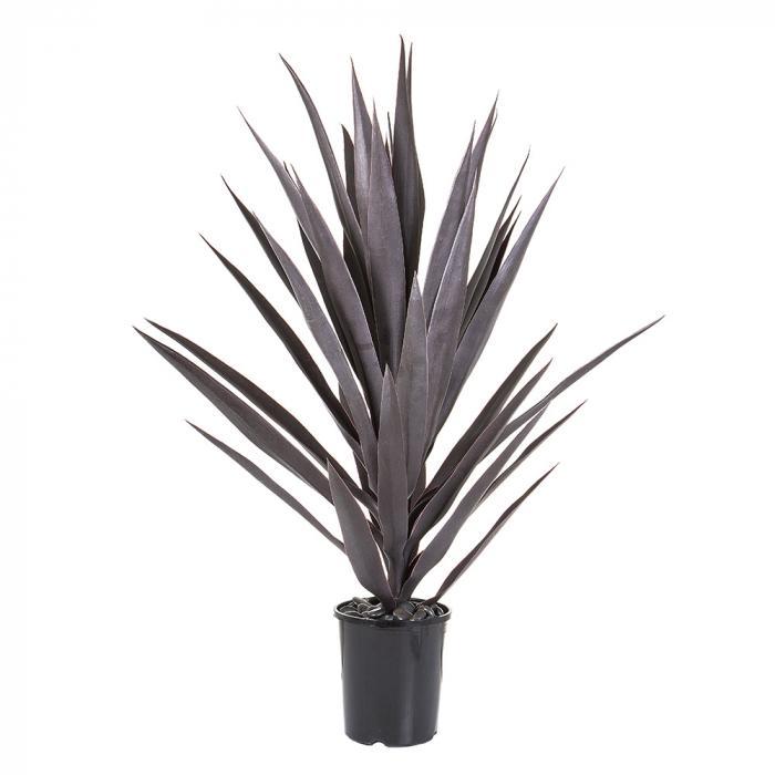 Yuccahead 78cm Potted-abc