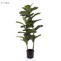 113cm Fiddle Leaf Tree - PLA-abc