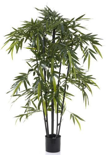 New Bamboo Tree Black Stem 1.5m-abc