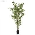 Ginko Tree Potted 1.8m 786 Lvs-abc