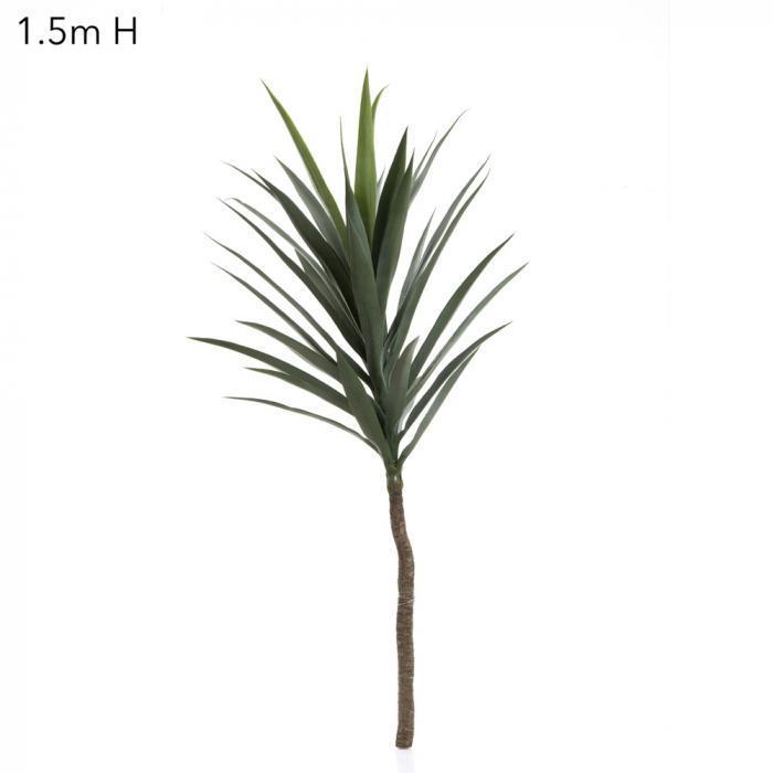 Yucca Stem W/36 Lves 134cm-abc