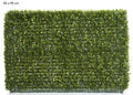 Boxwood Hedge 55x95cm-abc
