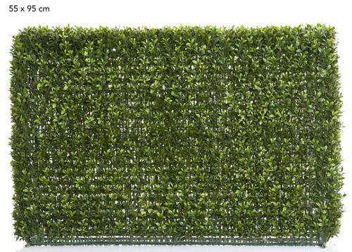 Boxwood Hedge 55x95cm-abc