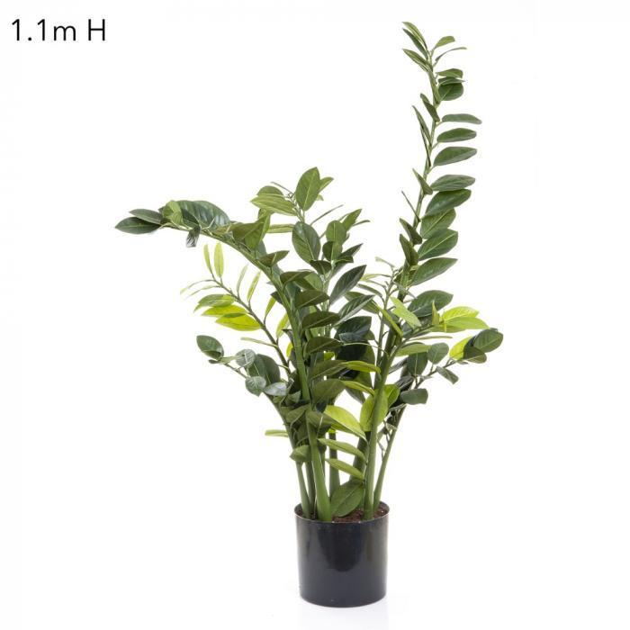 Smargago Plant x 7 1.1m-abc