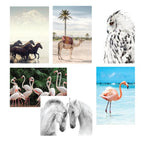 Canvas Wild & Free Set of 6-abc