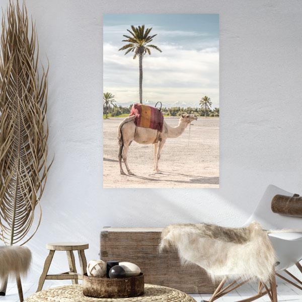 Canvas Wild & Free Set of 6-abc