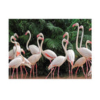 Canvas Wild & Free Set of 6-abc