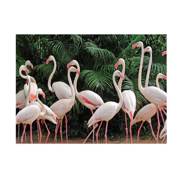 Canvas Wild & Free Set of 6-abc