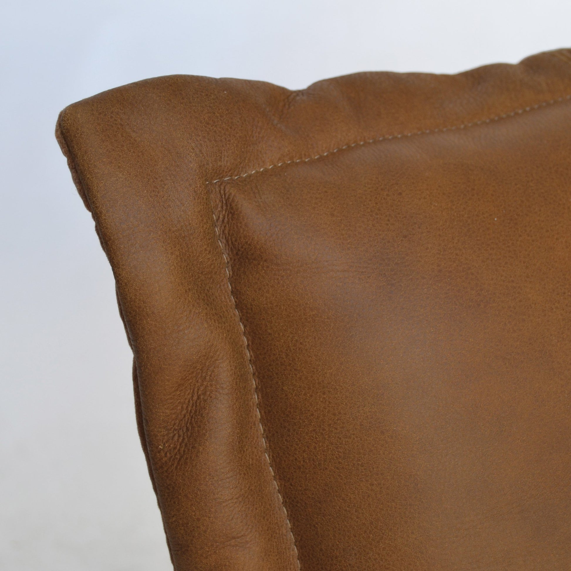 Xander Occasional Chair - Cognac Leather-abc