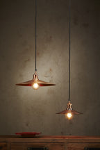 Forbes 2 Small - Antique Copper - Dish Pendant Light-abc