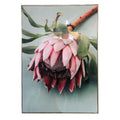 Pretty Protea Framed Canvas Champagne Colour-abc