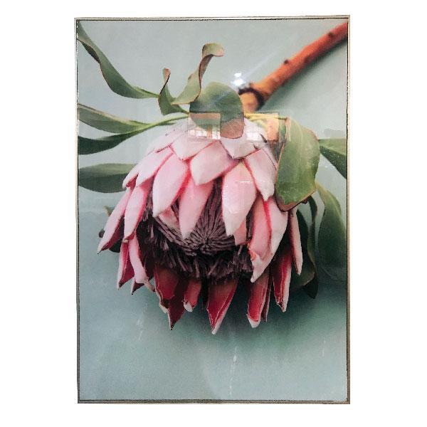 Pretty Protea Framed Canvas Champagne Colour-abc