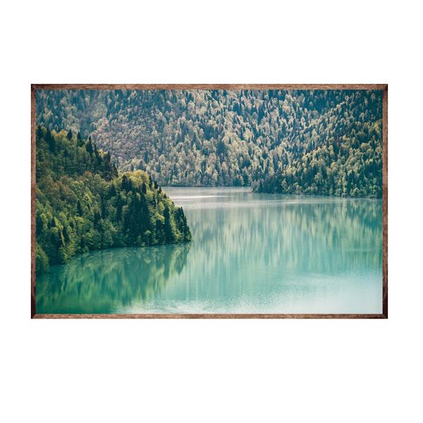 Wild Wood Framed Canvas Wood Grain Colour-abc