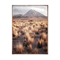 Dry Grass Valley Framed Canvas Wood Grain Colour-abc