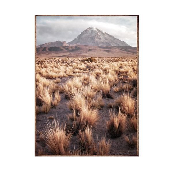 Dry Grass Valley Framed Canvas Wood Grain Colour-abc