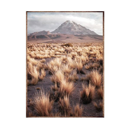 Dry Grass Valley Framed Canvas Wood Grain Colour-abc