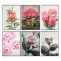 Native Blooms Framed Canvas Set of 6-abc