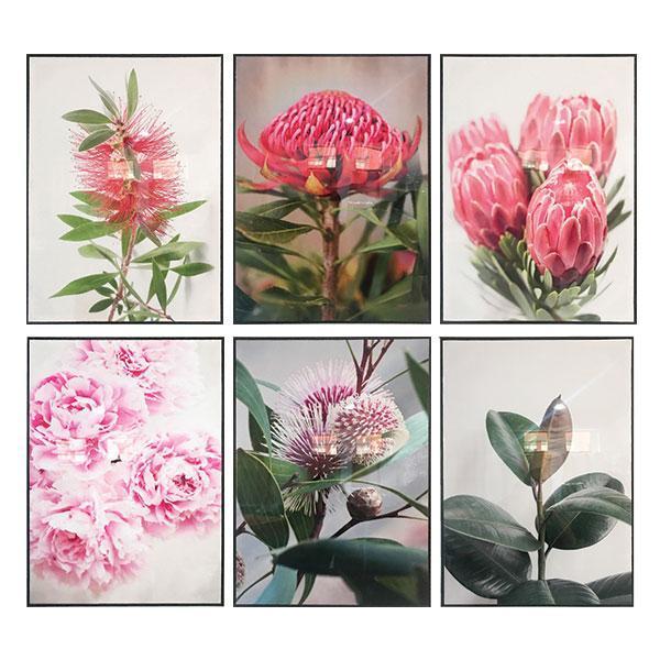 Native Blooms Framed Canvas Set of 6-abc