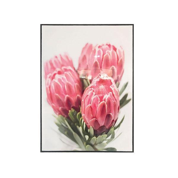Native Blooms Framed Canvas Set of 6-abc