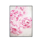 Native Blooms Framed Canvas Set of 6-abc