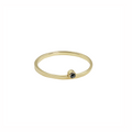 PERCH RING-abc